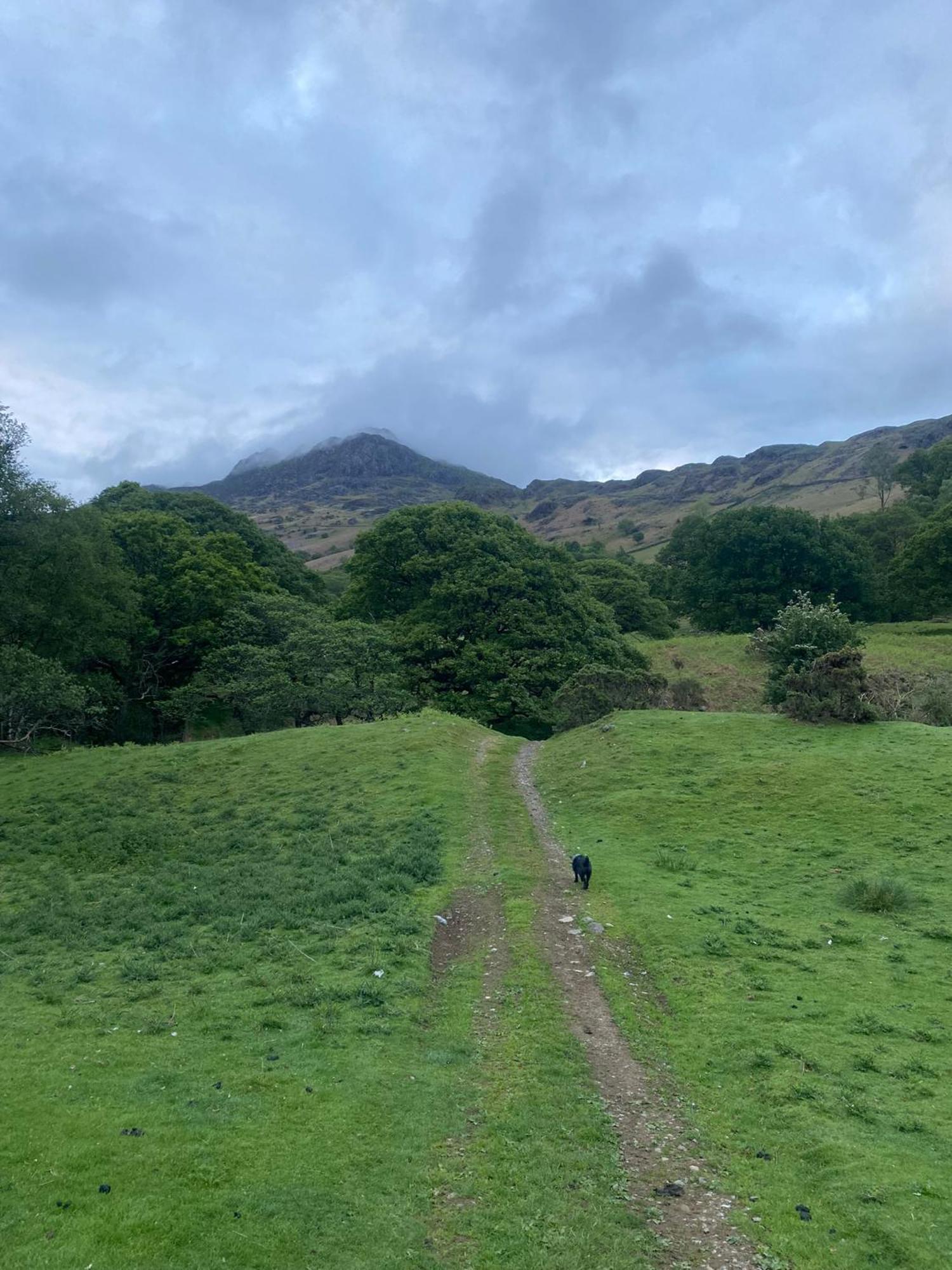 Cosy Glamping In The Eskdale Valley - Studio Lodges And Mega Pods Eksteriør bilde