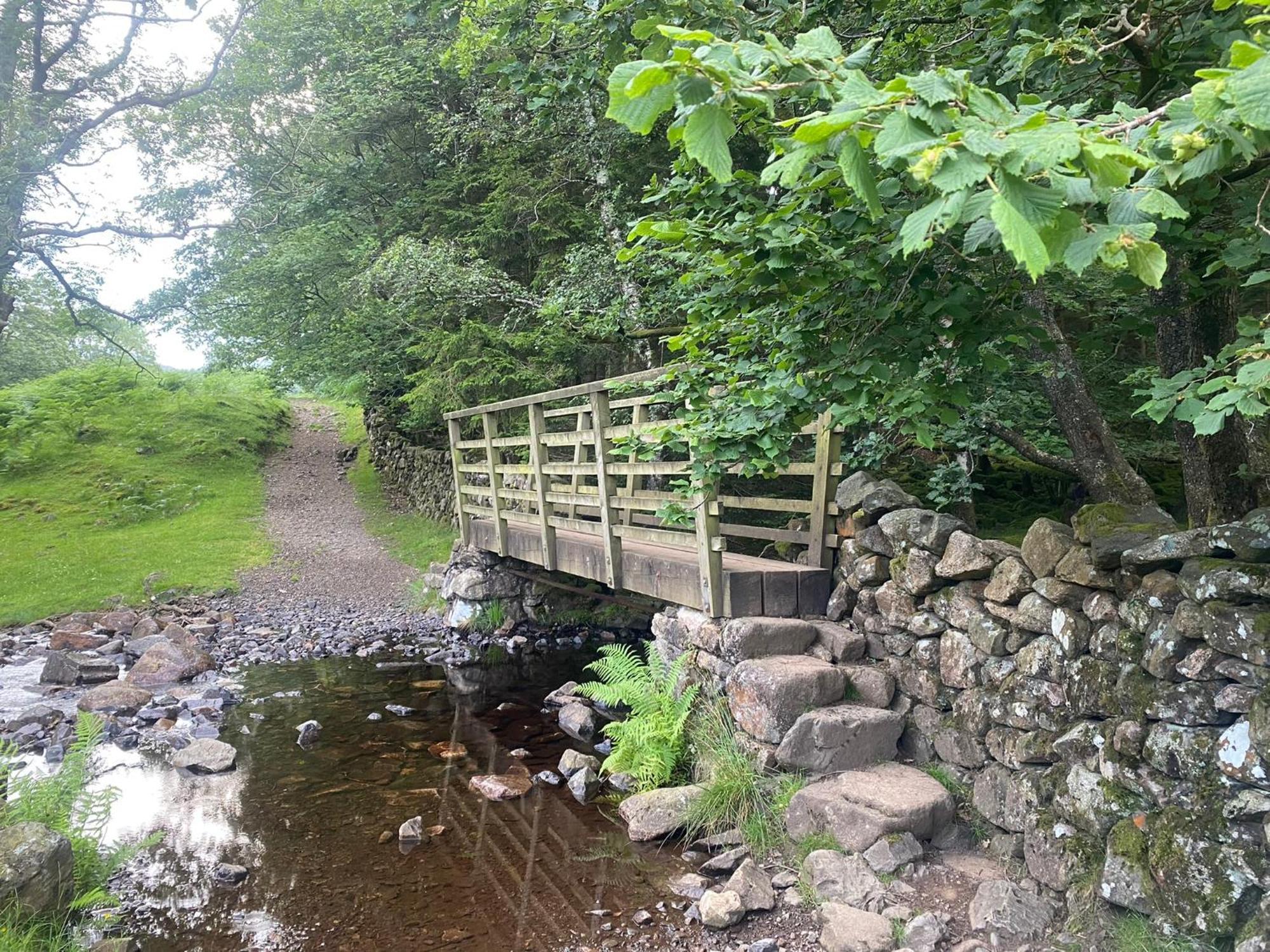 Cosy Glamping In The Eskdale Valley - Studio Lodges And Mega Pods Eksteriør bilde